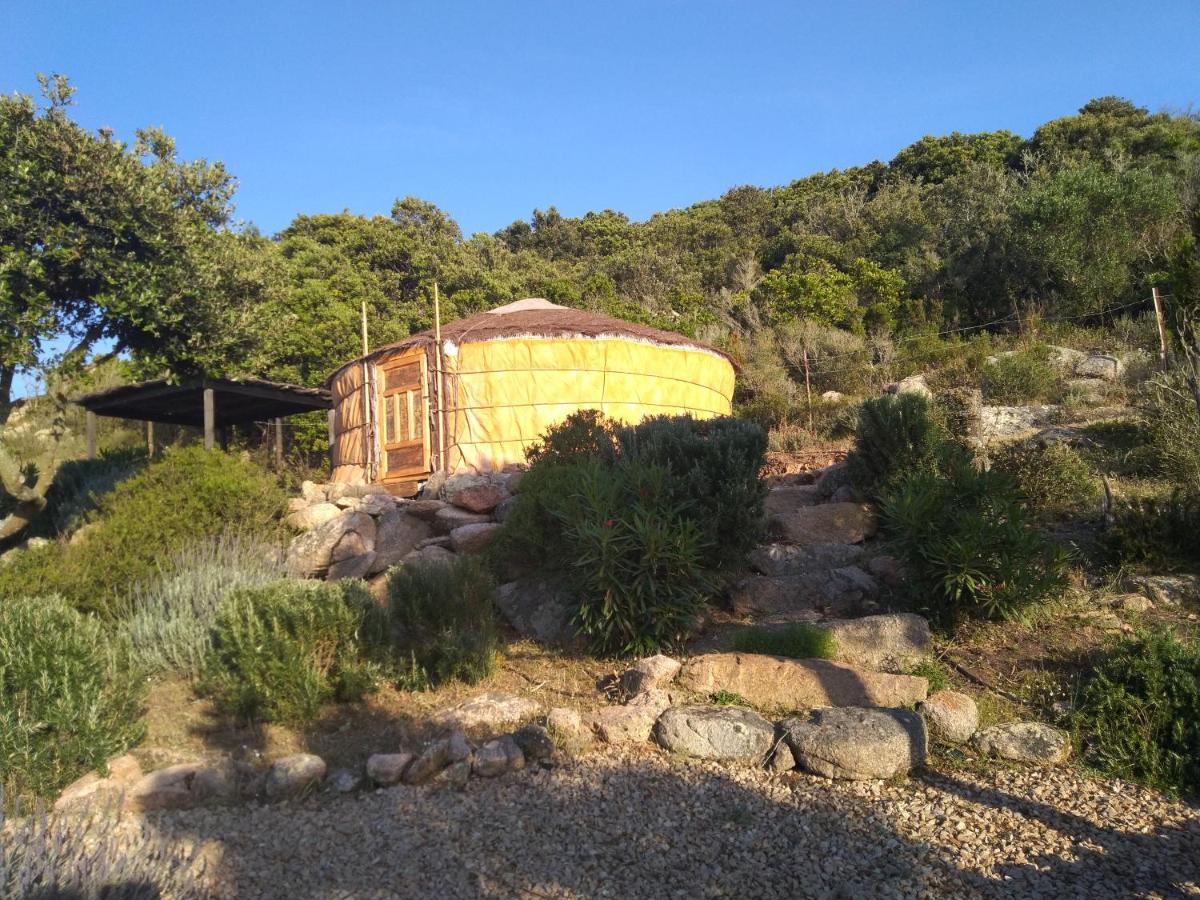 La Cera Farm Camping B&B Santa Teresa Gallura Exterior foto