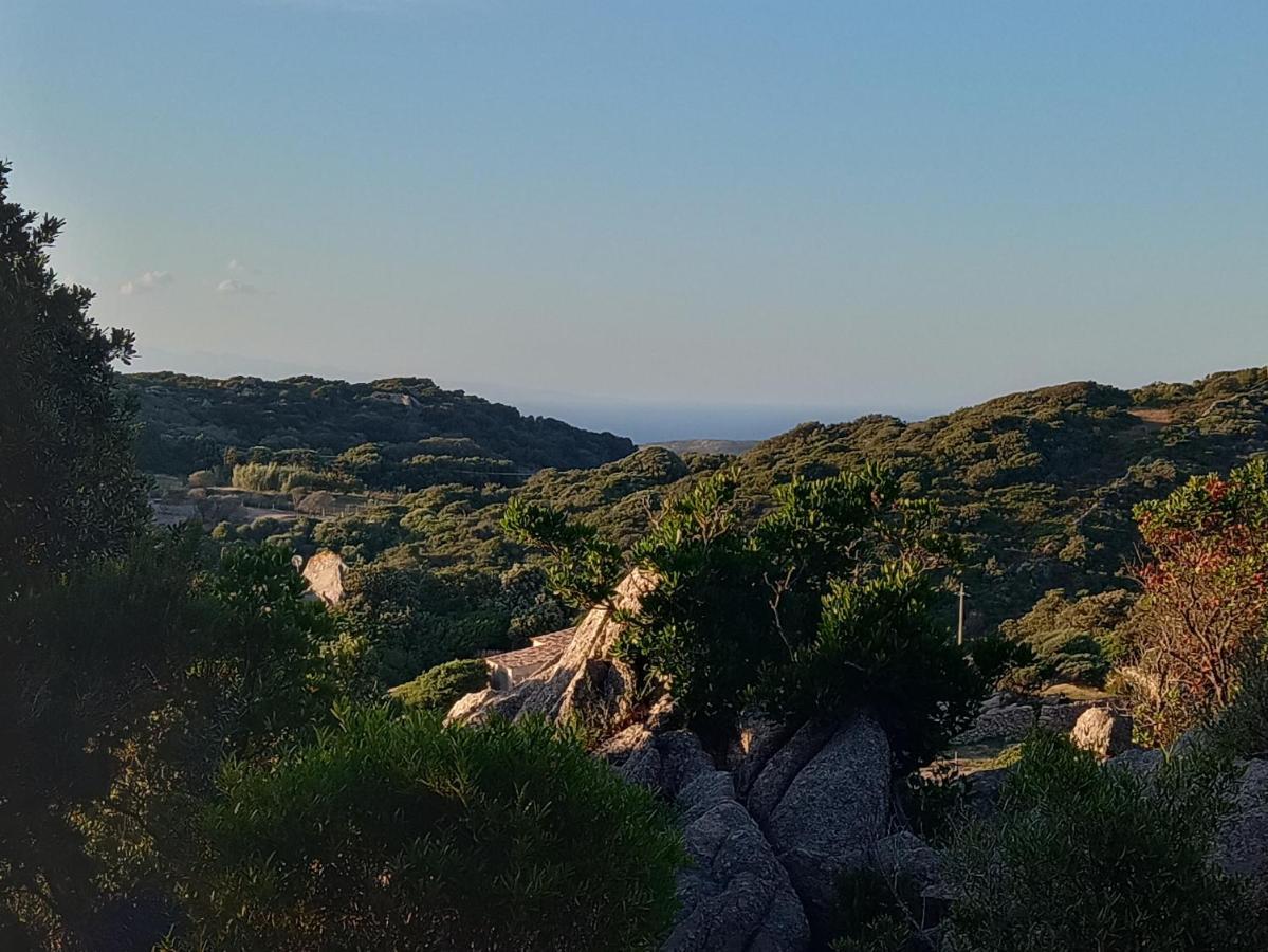 La Cera Farm Camping B&B Santa Teresa Gallura Exterior foto