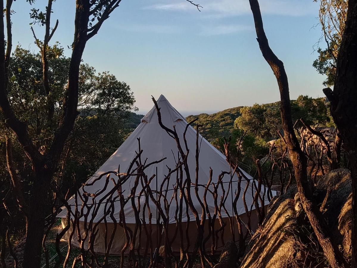 La Cera Farm Camping B&B Santa Teresa Gallura Exterior foto