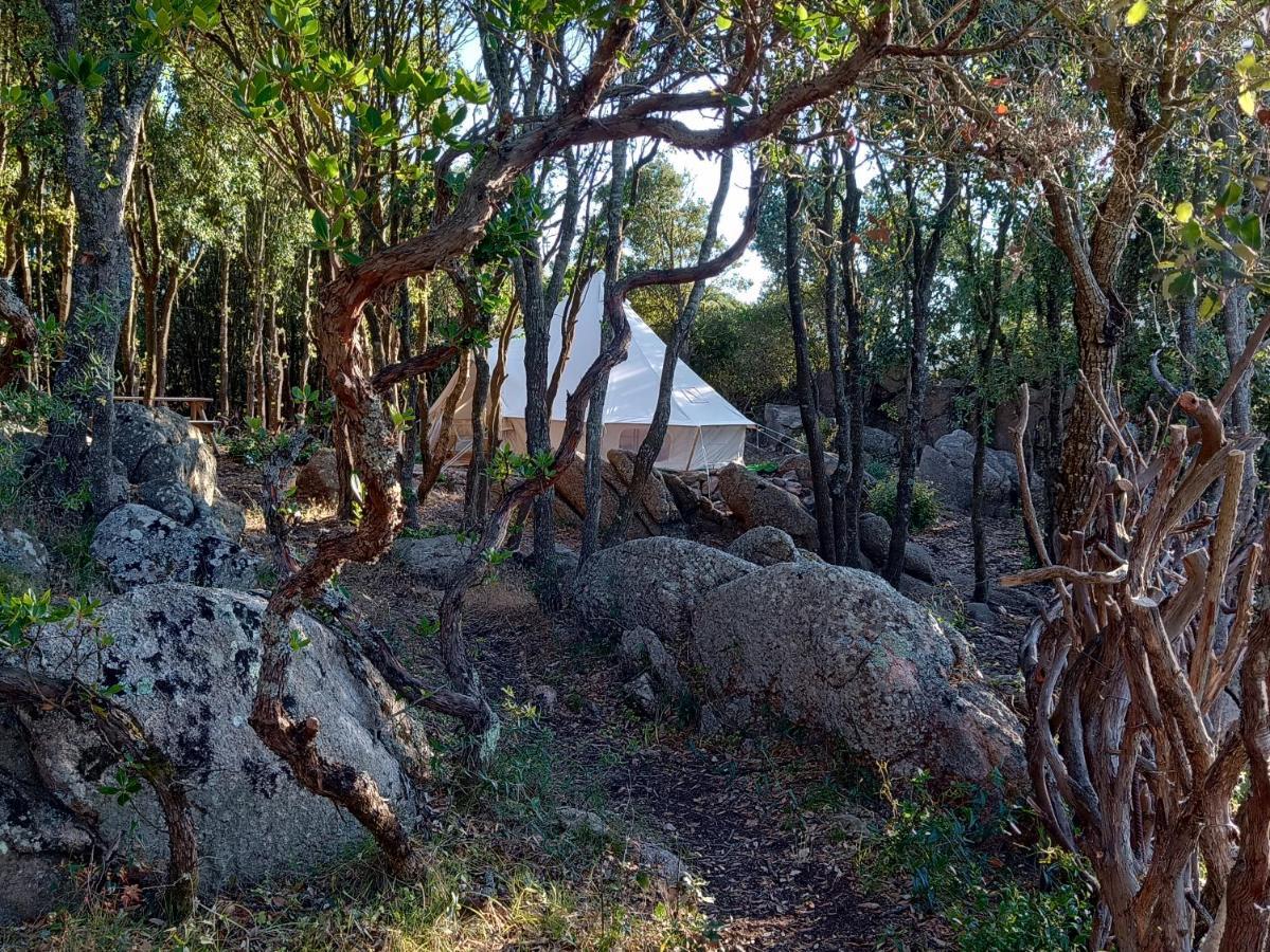 La Cera Farm Camping B&B Santa Teresa Gallura Exterior foto