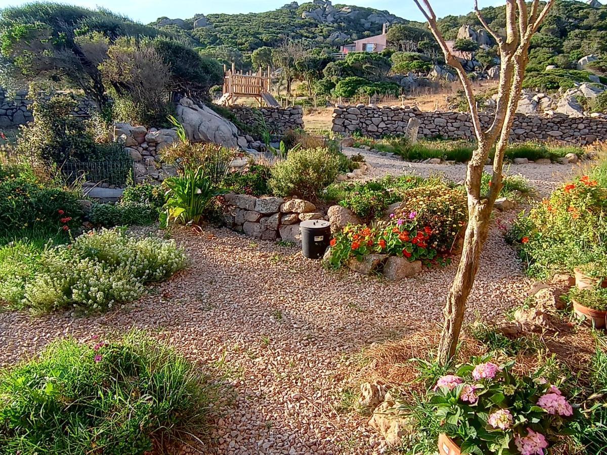 La Cera Farm Camping B&B Santa Teresa Gallura Exterior foto