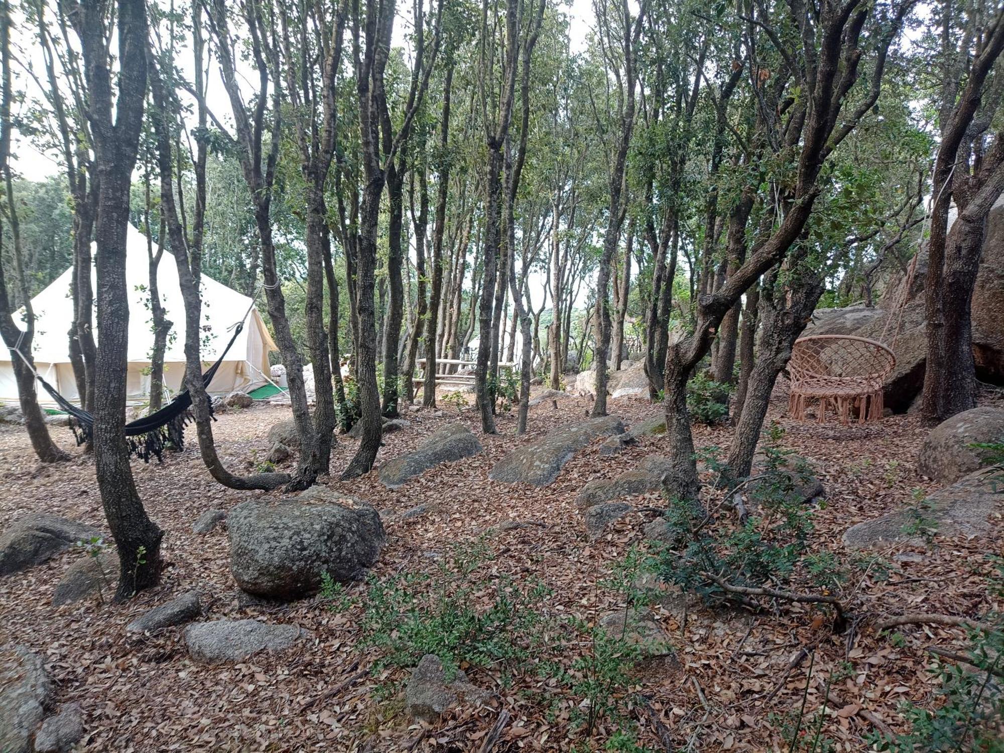 La Cera Farm Camping B&B Santa Teresa Gallura Exterior foto
