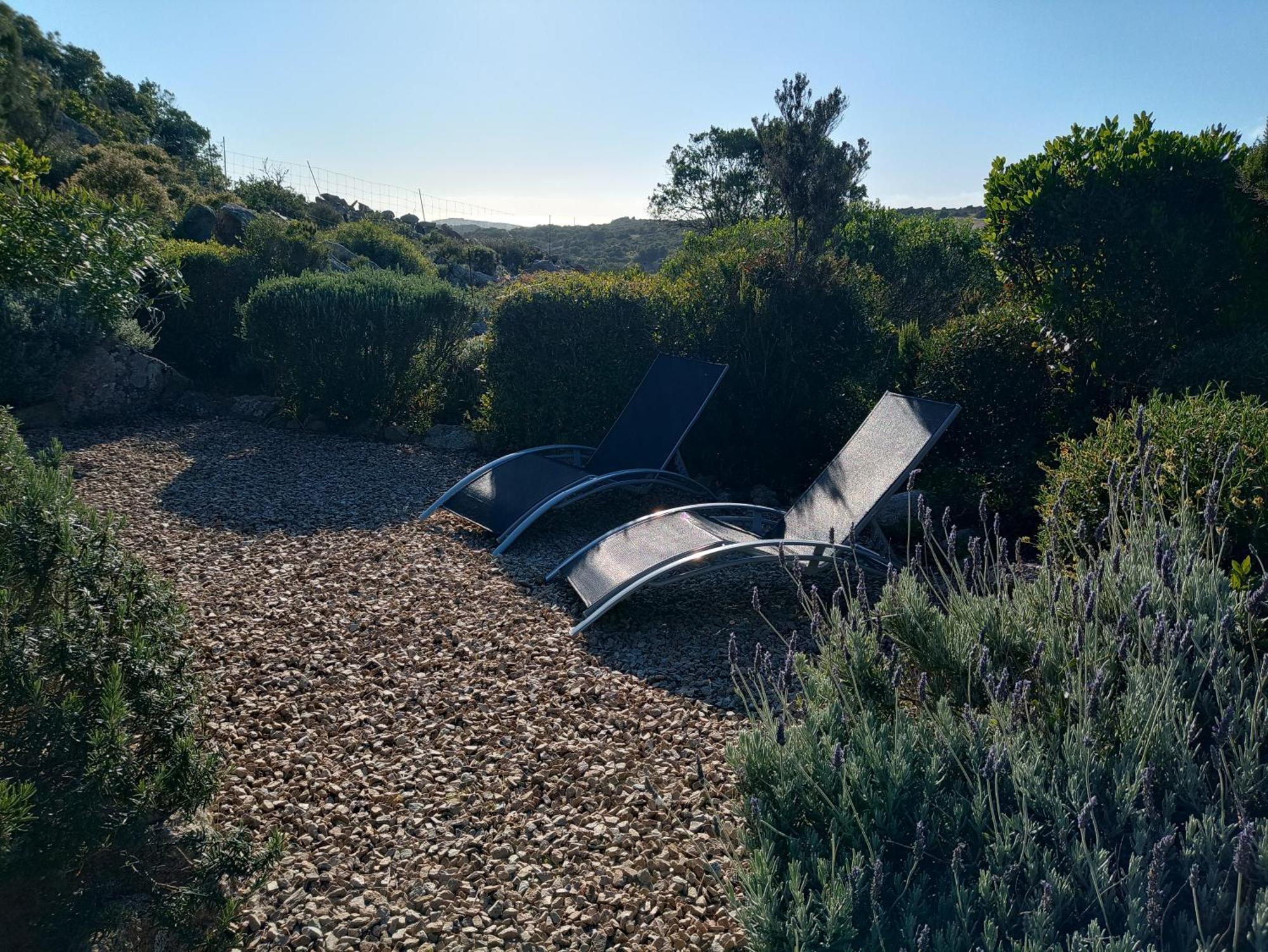 La Cera Farm Camping B&B Santa Teresa Gallura Exterior foto