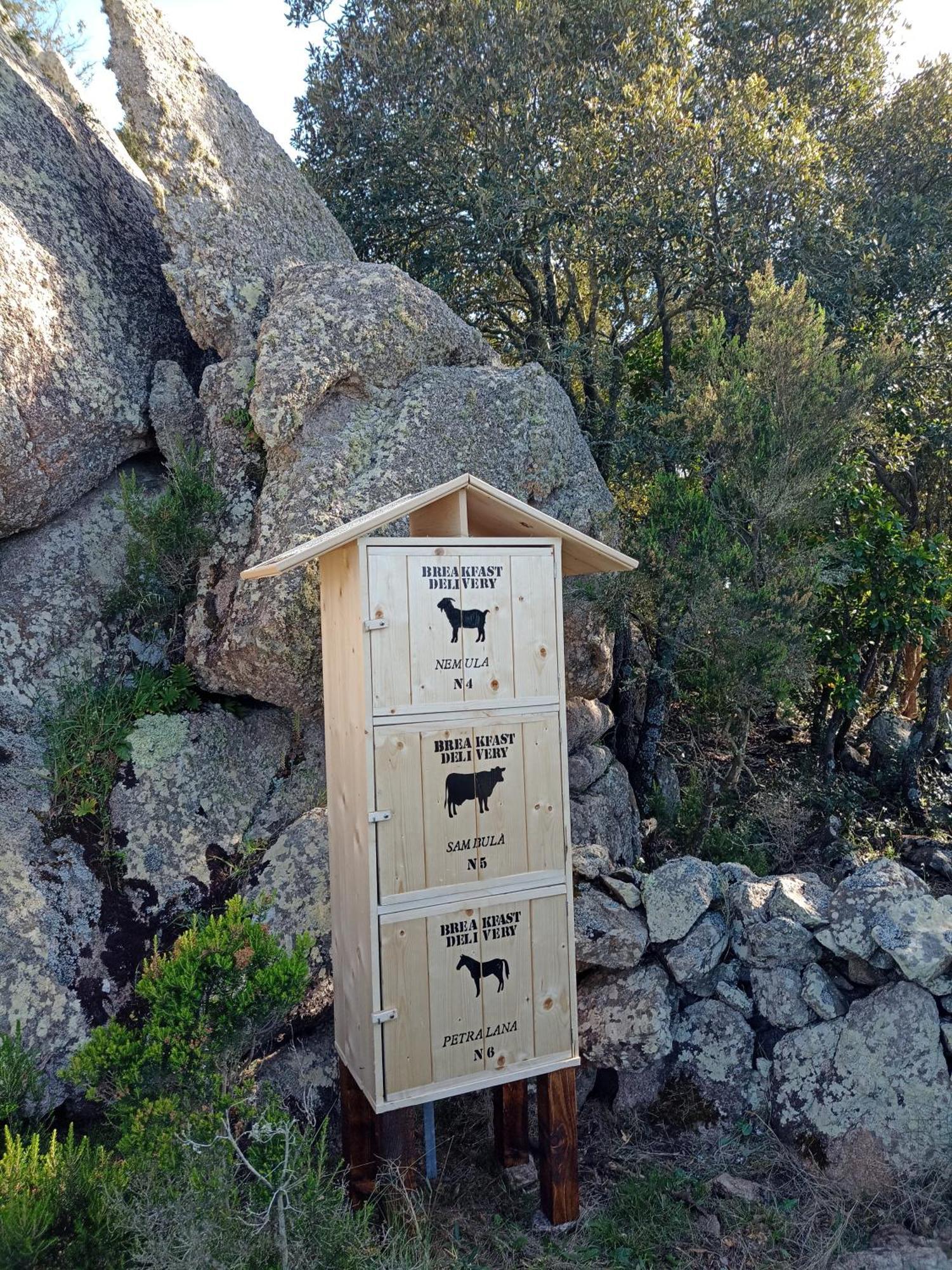 La Cera Farm Camping B&B Santa Teresa Gallura Exterior foto